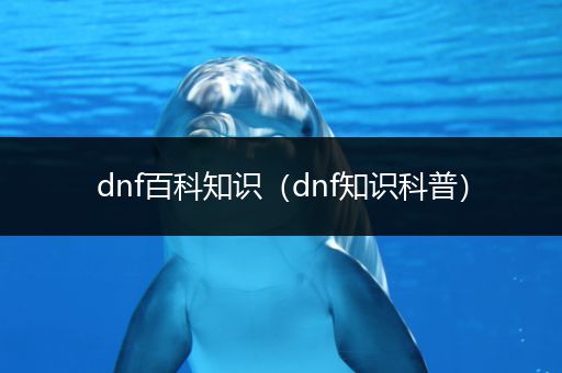 dnf百科知识（dnf知识科普）