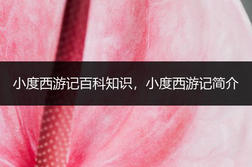 小度西游记百科知识，小度西游记简介