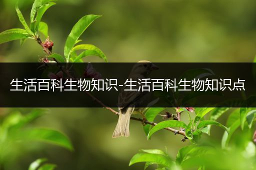 生活百科生物知识-生活百科生物知识点