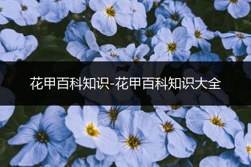 花甲百科知识-花甲百科知识大全