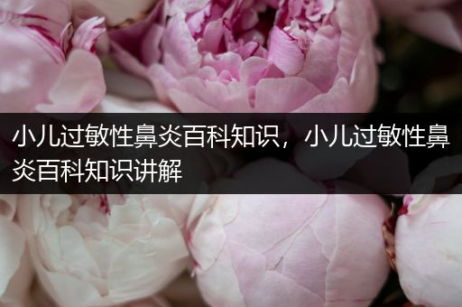 小儿过敏性鼻炎百科知识，小儿过敏性鼻炎百科知识讲解