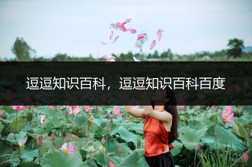 逗逗知识百科，逗逗知识百科百度