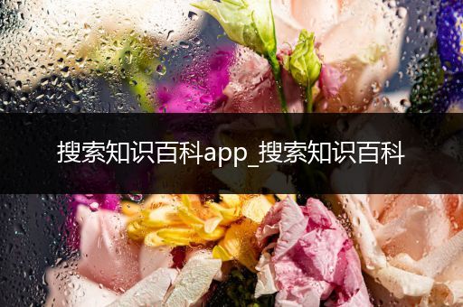 搜索知识百科app_搜索知识百科