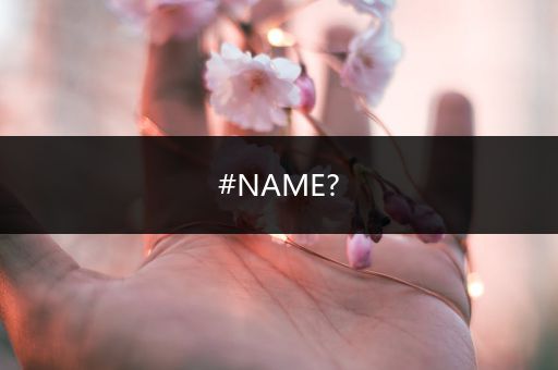 #NAME?