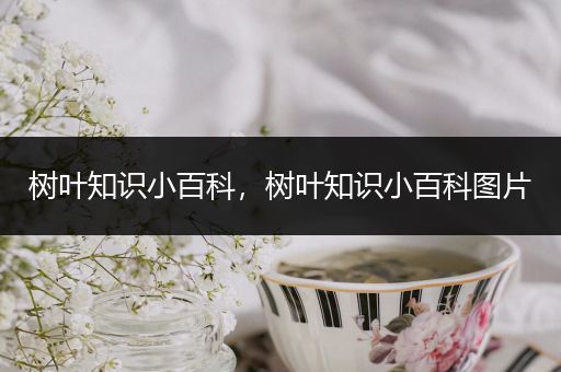 树叶知识小百科，树叶知识小百科图片