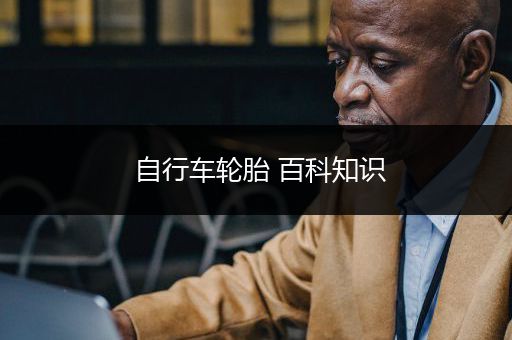 自行车轮胎 百科知识