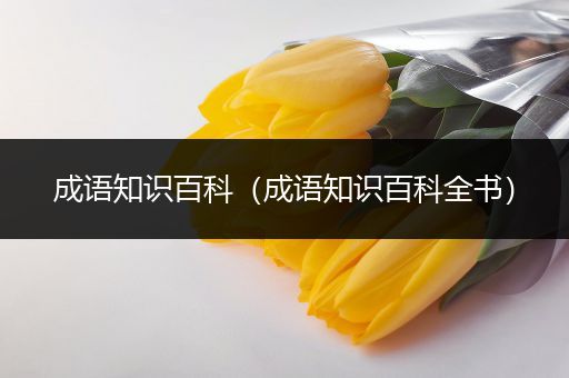 成语知识百科（成语知识百科全书）