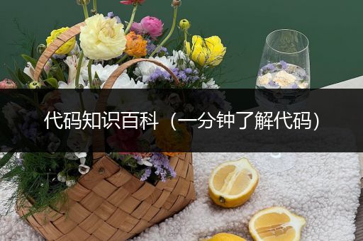 代码知识百科（一分钟了解代码）