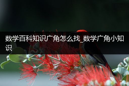 数学百科知识广角怎么找_数学广角小知识