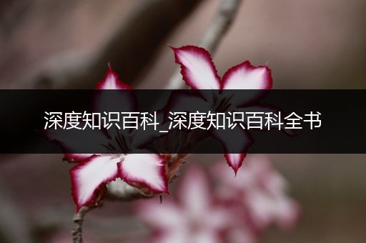 深度知识百科_深度知识百科全书