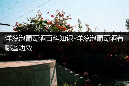 洋葱泡葡萄酒百科知识-洋葱泡葡萄酒有哪些功效
