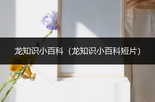 龙知识小百科（龙知识小百科短片）