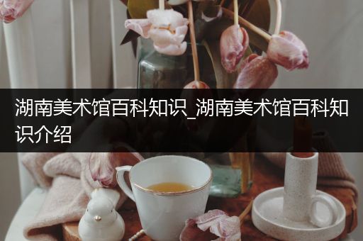 湖南美术馆百科知识_湖南美术馆百科知识介绍