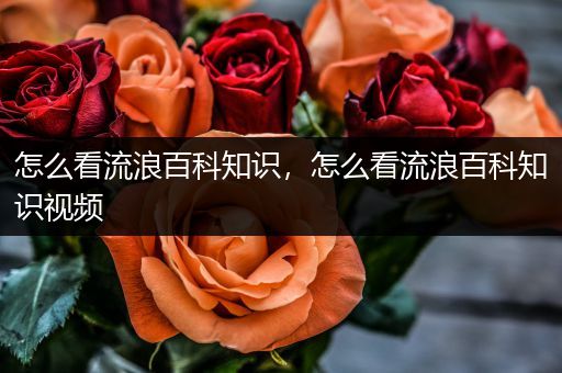 怎么看流浪百科知识，怎么看流浪百科知识视频