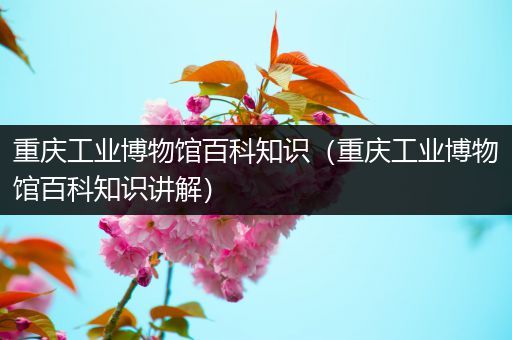 重庆工业博物馆百科知识（重庆工业博物馆百科知识讲解）