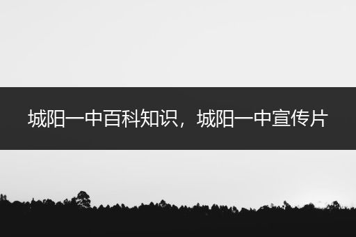 城阳一中百科知识，城阳一中宣传片