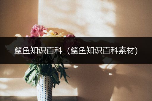 鲨鱼知识百科（鲨鱼知识百科素材）