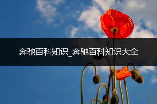 奔驰百科知识_奔驰百科知识大全