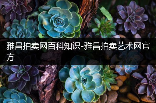 雅昌拍卖网百科知识-雅昌拍卖艺术网官方