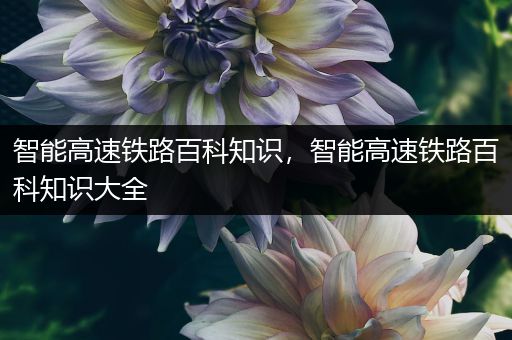 智能高速铁路百科知识，智能高速铁路百科知识大全