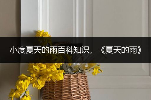 小度夏天的雨百科知识，《夏天的雨》