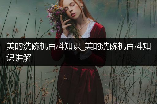 美的洗碗机百科知识_美的洗碗机百科知识讲解