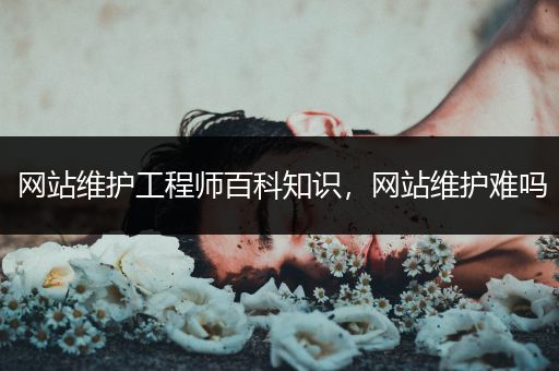 网站维护工程师百科知识，网站维护难吗