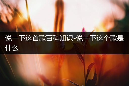 说一下这首歌百科知识-说一下这个歌是什么