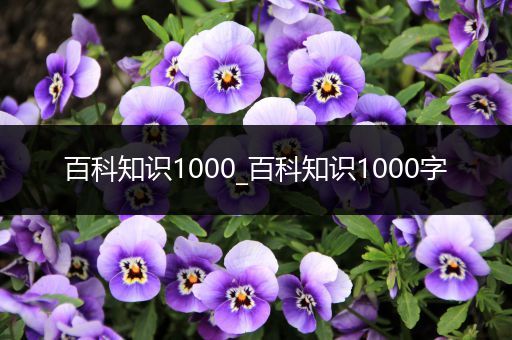 百科知识1000_百科知识1000字