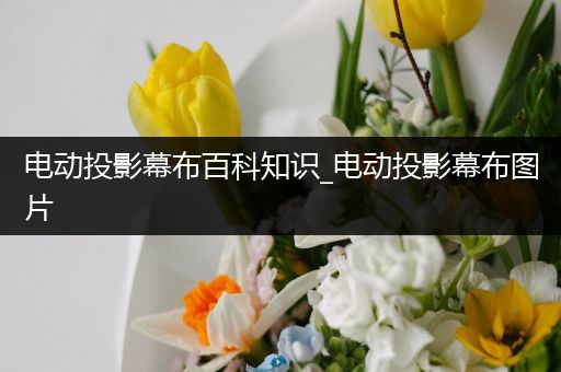 电动投影幕布百科知识_电动投影幕布图片