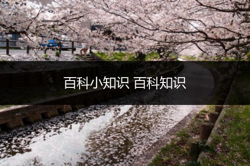 百科小知识 百科知识