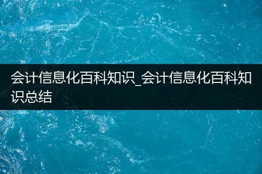 会计信息化百科知识_会计信息化百科知识总结