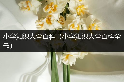 小学知识大全百科（小学知识大全百科全书）