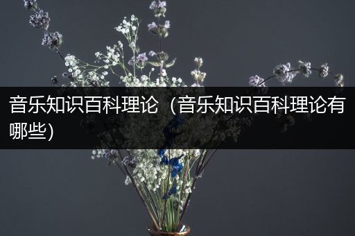 音乐知识百科理论（音乐知识百科理论有哪些）