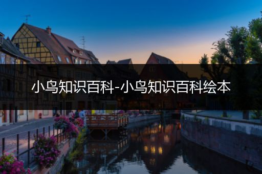 小鸟知识百科-小鸟知识百科绘本