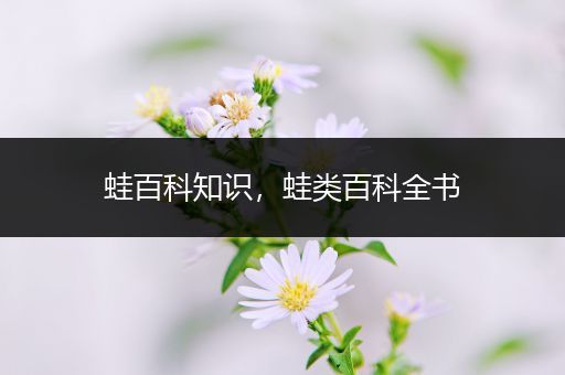 蛙百科知识，蛙类百科全书