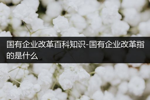 国有企业改革百科知识-国有企业改革指的是什么