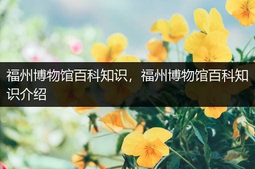 福州博物馆百科知识，福州博物馆百科知识介绍