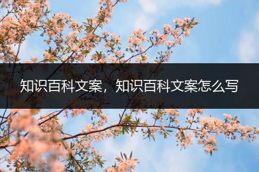 知识百科文案，知识百科文案怎么写