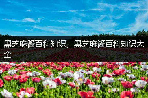 黑芝麻酱百科知识，黑芝麻酱百科知识大全
