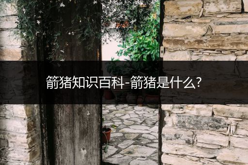 箭猪知识百科-箭猪是什么?