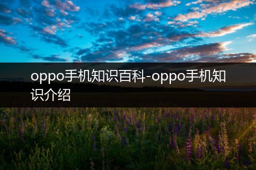 oppo手机知识百科-oppo手机知识介绍