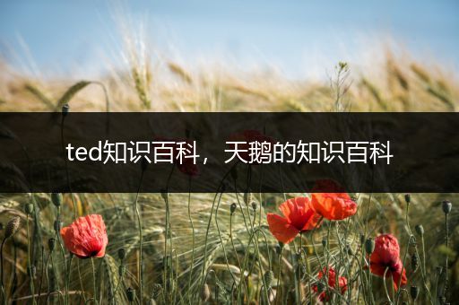 ted知识百科，天鹅的知识百科