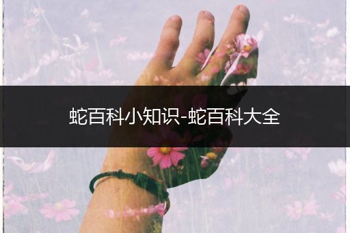 蛇百科小知识-蛇百科大全