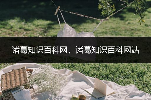 诸葛知识百科网，诸葛知识百科网站