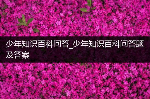 少年知识百科问答_少年知识百科问答题及答案
