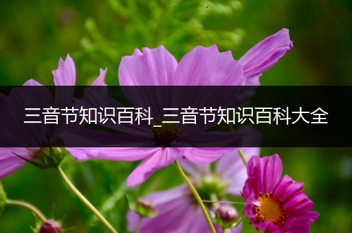 三音节知识百科_三音节知识百科大全