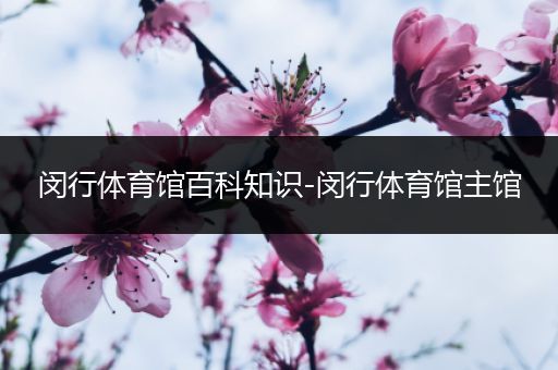 闵行体育馆百科知识-闵行体育馆主馆
