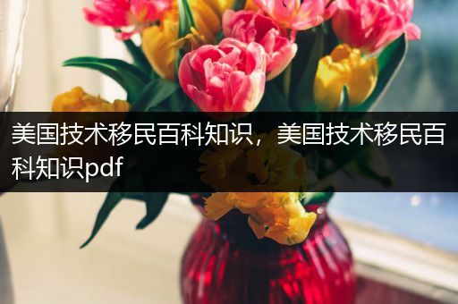 美国技术移民百科知识，美国技术移民百科知识pdf