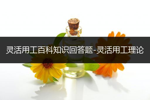 灵活用工百科知识回答题-灵活用工理论